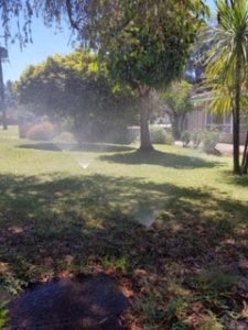 Mountain Misters Reticulation Subiaco